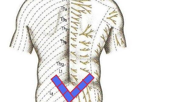 Боль в пояснице проходит при физических нагрузках